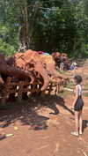 shelly_roberin Altpins Profile Picture