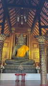 shelly_roberin Altpins Profile Picture
