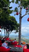 shelly_roberin Altpins Profile Picture