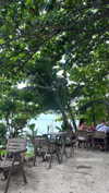 shelly_roberin Altpins Profile Picture