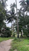 shelly_roberin Altpins Profile Picture