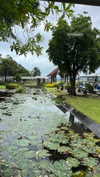 shelly_roberin Altpins Profile Picture