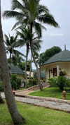 shelly_roberin Altpins Profile Picture