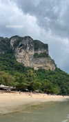 shelly_roberin Altpins Profile Picture