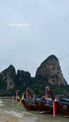shelly_roberin Altpins Profile Picture
