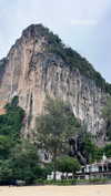 shelly_roberin Altpins Profile Picture