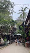 shelly_roberin Altpins Profile Picture
