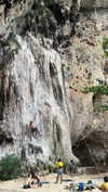 shelly_roberin Altpins Profile Picture