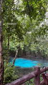 shelly_roberin Altpins Profile Picture