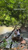 shelly_roberin Altpins Profile Picture
