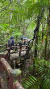 shelly_roberin Altpins Profile Picture