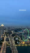 shelly_roberin Altpins Profile Picture