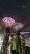 shelly_roberin Altpins Profile Picture