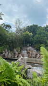 shelly_roberin Altpins Profile Picture