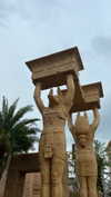 shelly_roberin Altpins Profile Picture