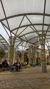 shelly_roberin Altpins Profile Picture