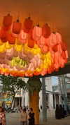shelly_roberin Altpins Profile Picture