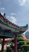 shelly_roberin Altpins Profile Picture