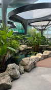 shelly_roberin Altpins Profile Picture