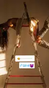 shenaryderofficial Altpins Profile Picture