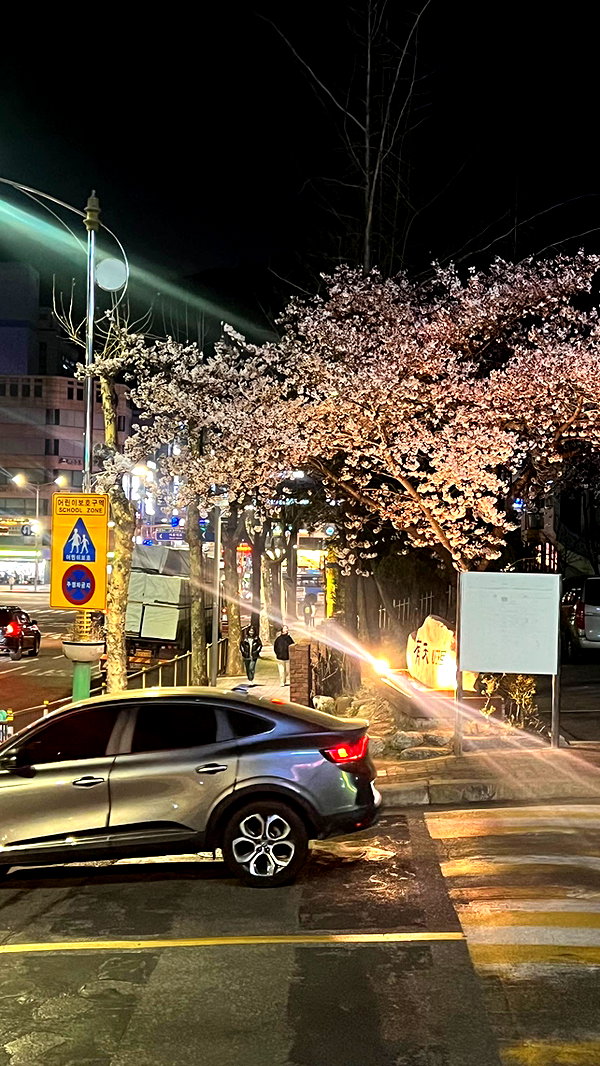 shim.anel instagram image archive image