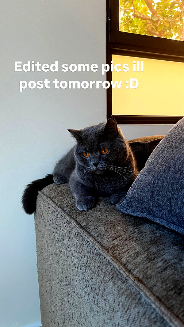 shinomayaa instagram image archive image