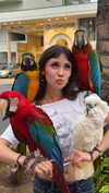 shinyykiraa Altpins Profile Picture
