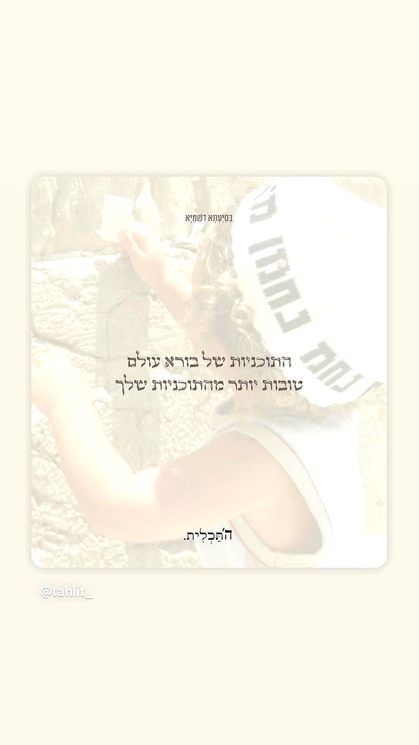 shir.albilia shir.albilia archive image