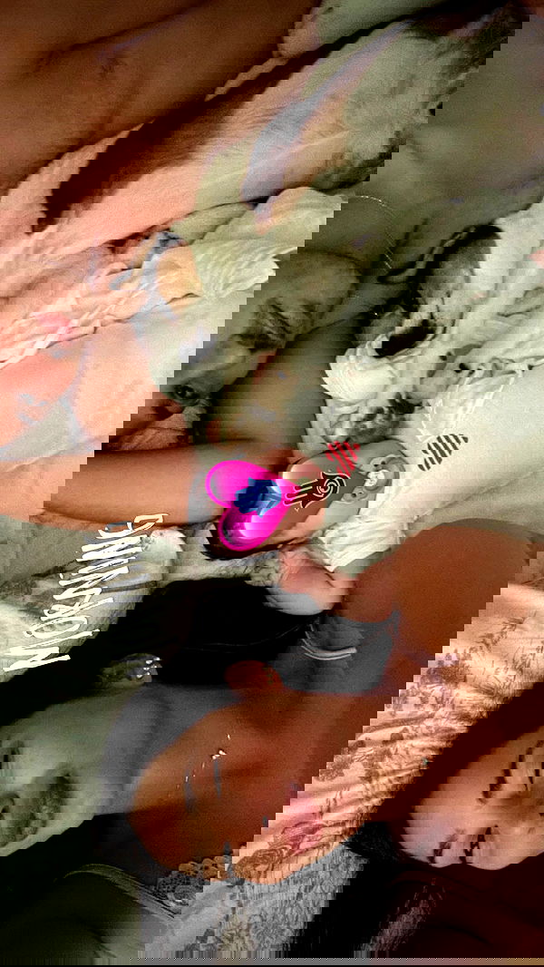 shir.davida6 shir.davida6 archive image