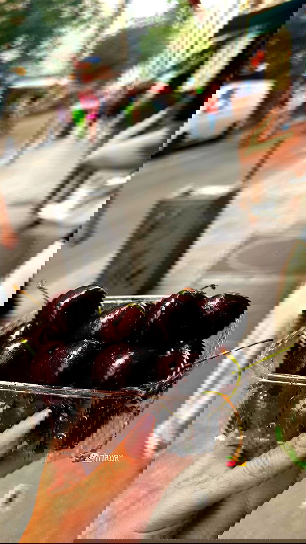 shir.davida6 shir.davida6 archive image