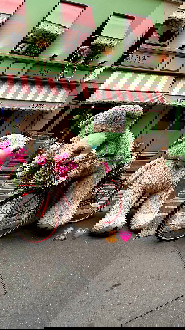 shir.davida6 shir.davida6 archive image