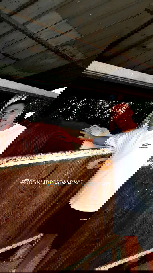 shir.davida6 shir.davida6 archive image