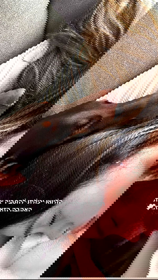 shir.davida6 shir.davida6 archive image