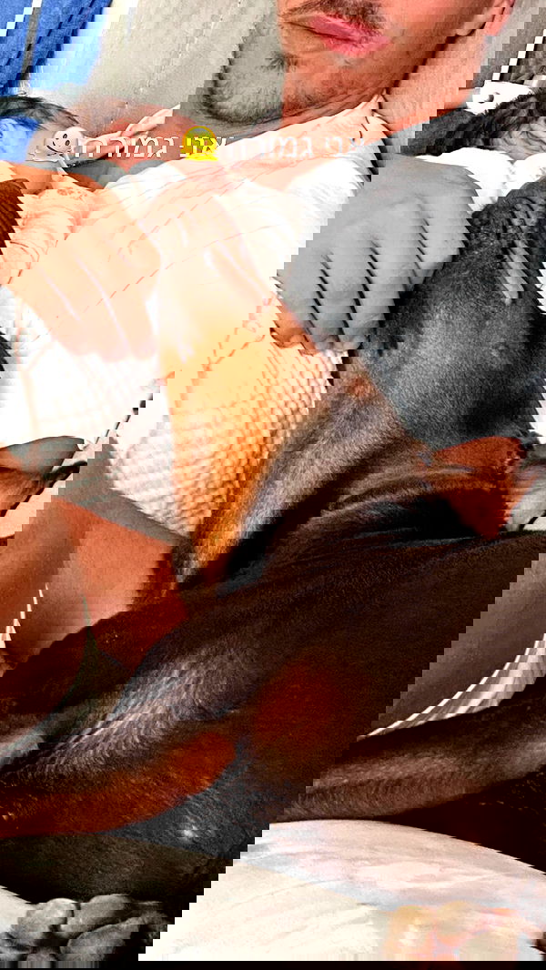 shir.davida6 shir.davida6 archive image