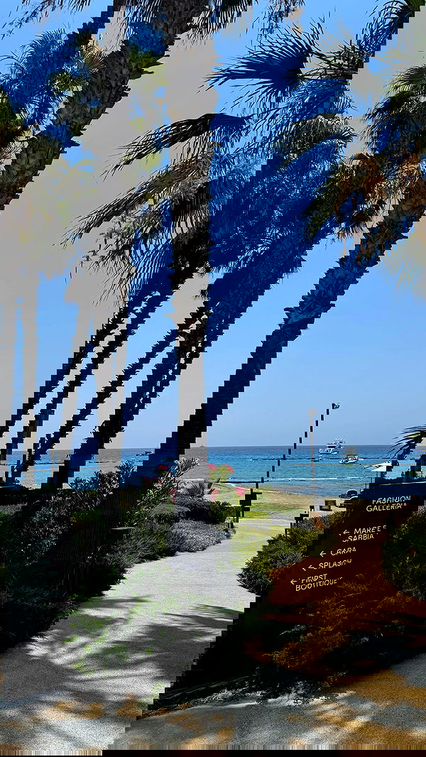 shir.davida6 shir.davida6 archive image