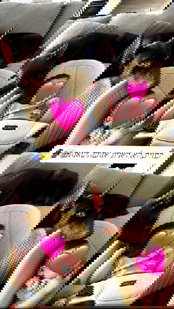 shir.davida6 shir.davida6 archive image