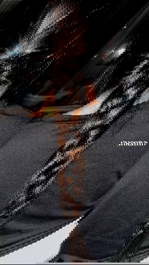 shir.davida6 shir.davida6 archive image