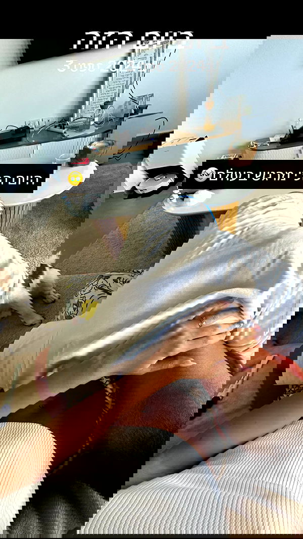 shir.davida6 shir.davida6 archive image