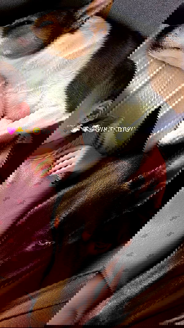 shir.davida6 shir.davida6 archive image