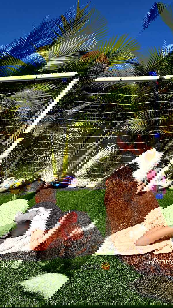 shir.davida6 shir.davida6 archive image