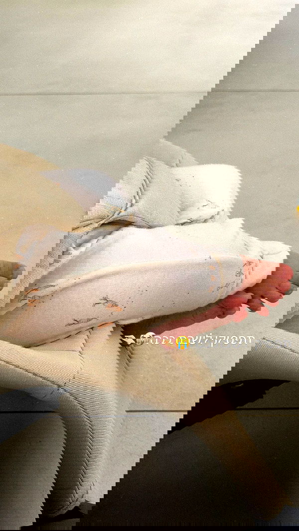 shir.davida6 shir.davida6 archive image