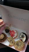 shir_revivo1 Altpins Profile Picture