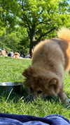 shir_revivo1 Altpins Profile Picture