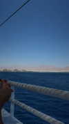 shira.ohayonn Altpins Profile Picture
