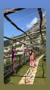 shira.sharabi Altpins Profile Picture