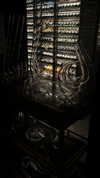 shira__adar_ Altpins Profile Picture
