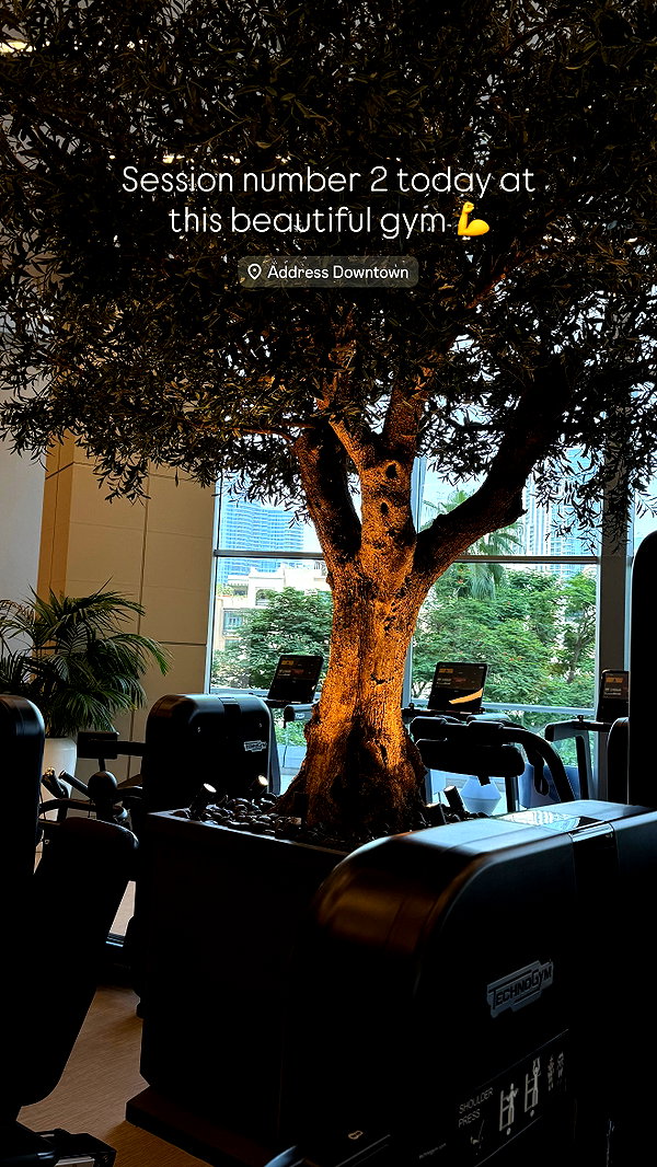 shira__adar_ instagram image archive image