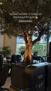 shira__adar_ Altpins Profile Picture