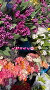 shira__adar_ Altpins Profile Picture