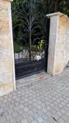 shira__adar_ Altpins Profile Picture
